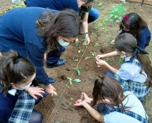 Huerto escolar ecológico en el Colegio Calderón de Gandia