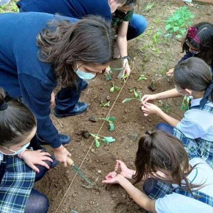 Huerto escolar ecológico en el Colegio Calderón de Gandia