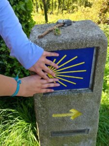 Camino de Santiago del Colegio MAS Calderón de Gandia