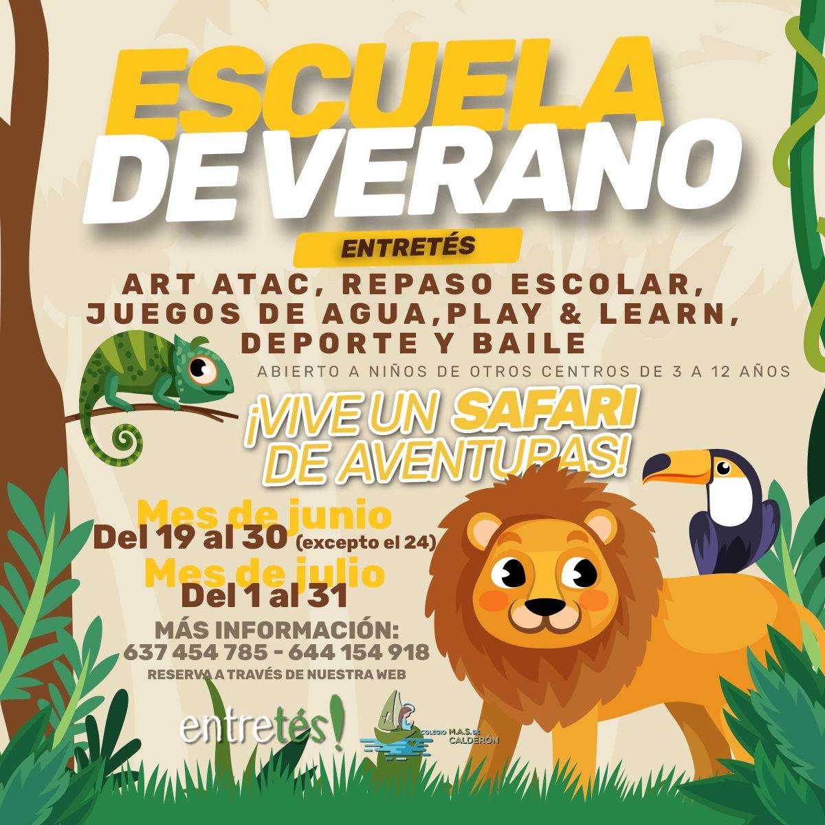 Escuela de Verano 2025